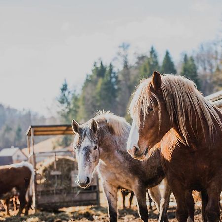 Farm Stay Zurej Sentjur Bagian luar foto