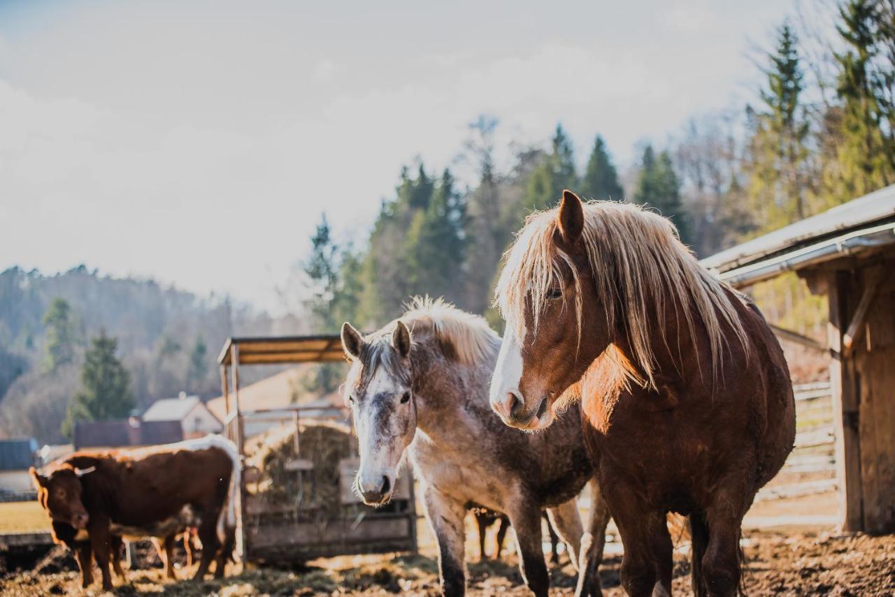 Farm Stay Zurej Sentjur Bagian luar foto