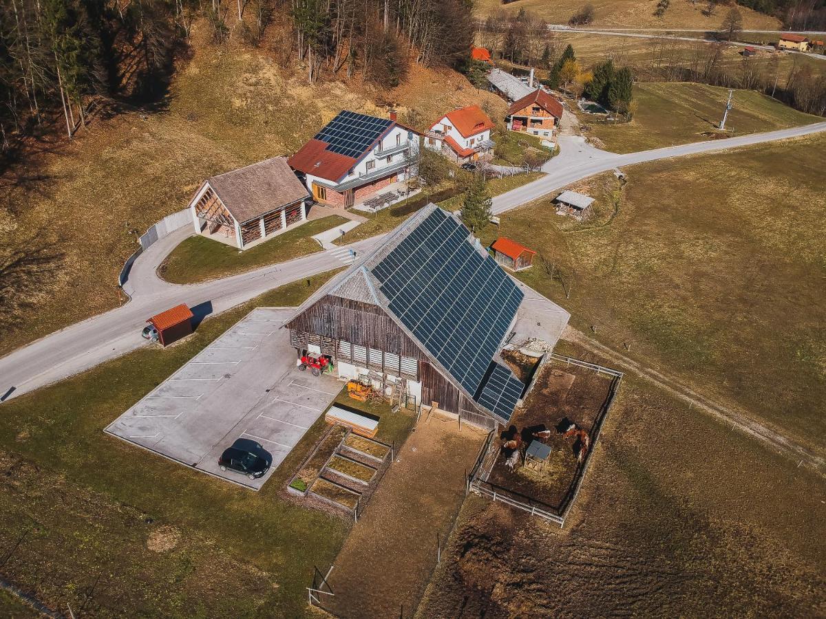 Farm Stay Zurej Sentjur Bagian luar foto