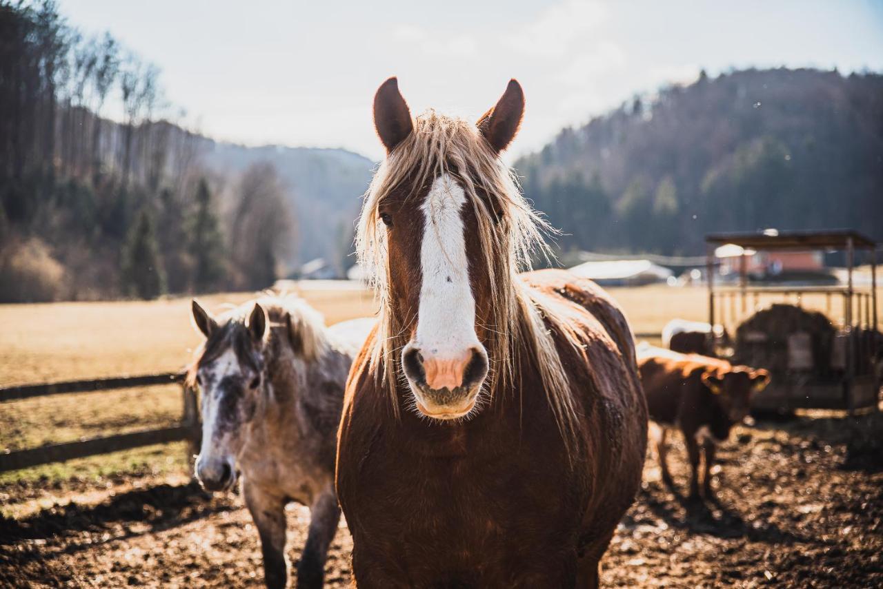 Farm Stay Zurej Sentjur Bagian luar foto