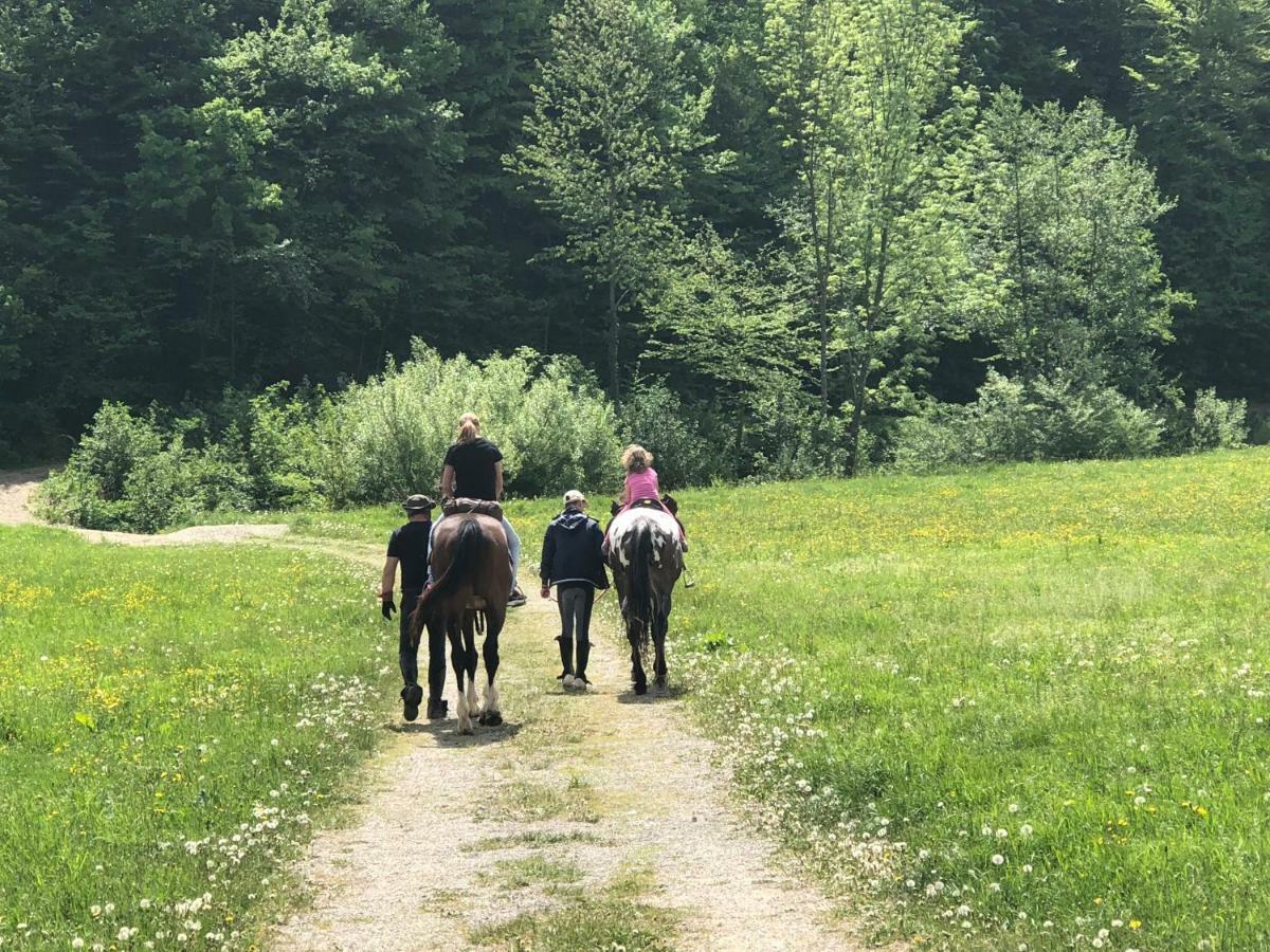 Farm Stay Zurej Sentjur Bagian luar foto